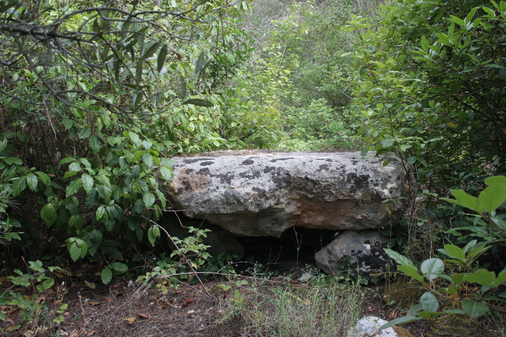 Dolmen Grotta